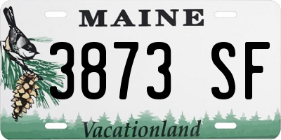 ME license plate 3873SF