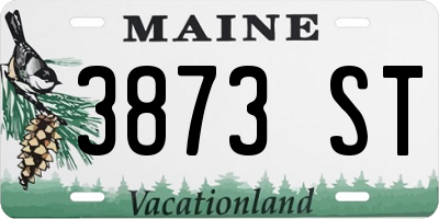 ME license plate 3873ST
