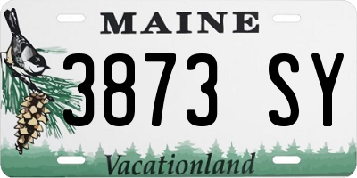 ME license plate 3873SY