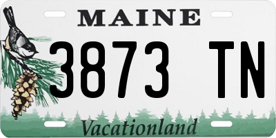 ME license plate 3873TN