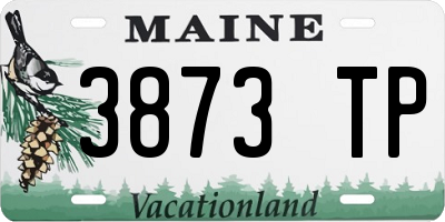 ME license plate 3873TP