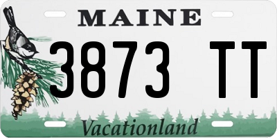 ME license plate 3873TT