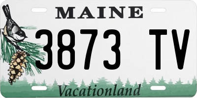 ME license plate 3873TV