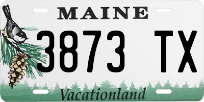 ME license plate 3873TX