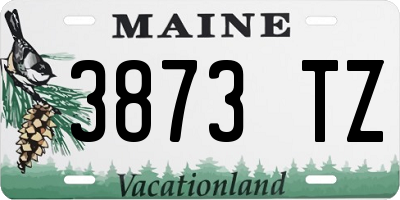 ME license plate 3873TZ