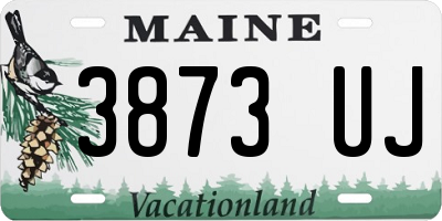 ME license plate 3873UJ
