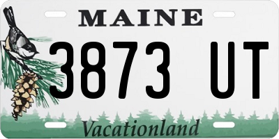 ME license plate 3873UT
