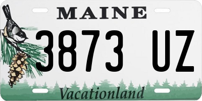 ME license plate 3873UZ