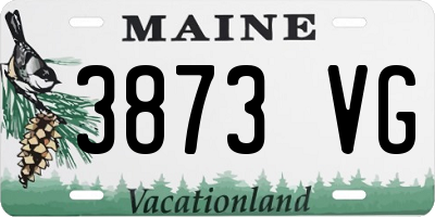 ME license plate 3873VG