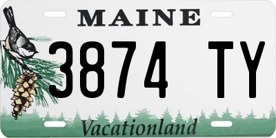 ME license plate 3874TY