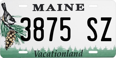 ME license plate 3875SZ