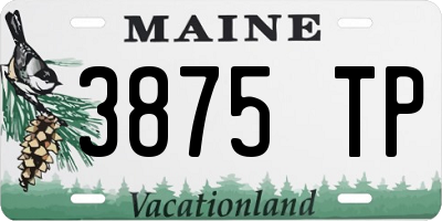 ME license plate 3875TP