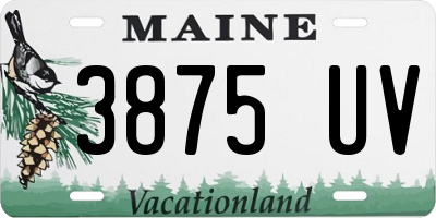 ME license plate 3875UV