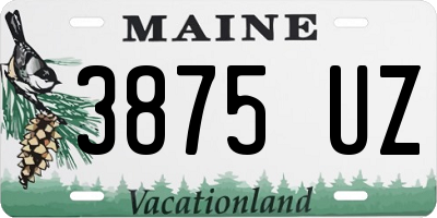ME license plate 3875UZ