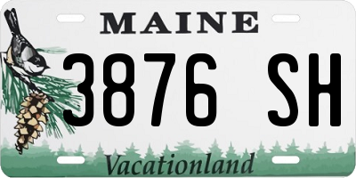 ME license plate 3876SH