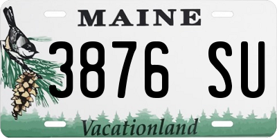 ME license plate 3876SU