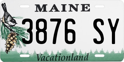ME license plate 3876SY