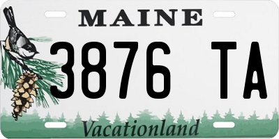 ME license plate 3876TA
