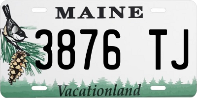 ME license plate 3876TJ