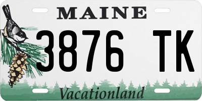 ME license plate 3876TK