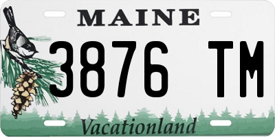 ME license plate 3876TM