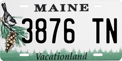 ME license plate 3876TN