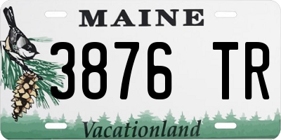 ME license plate 3876TR