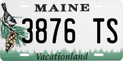 ME license plate 3876TS