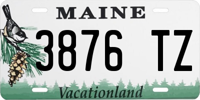 ME license plate 3876TZ