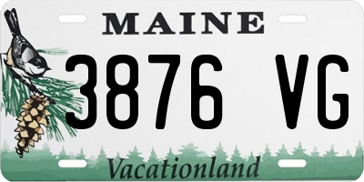 ME license plate 3876VG