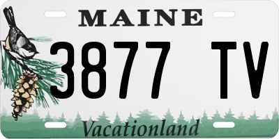 ME license plate 3877TV