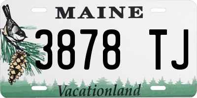 ME license plate 3878TJ