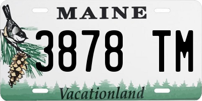 ME license plate 3878TM