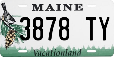 ME license plate 3878TY
