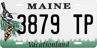 ME license plate 3879TP
