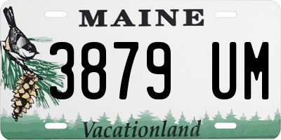 ME license plate 3879UM