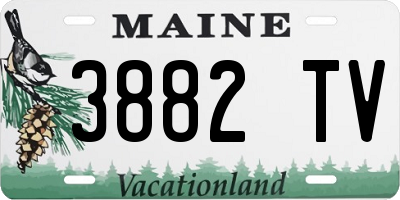 ME license plate 3882TV