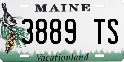 ME license plate 3889TS