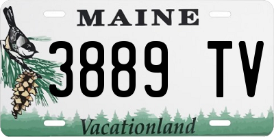 ME license plate 3889TV