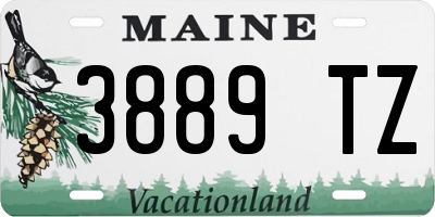 ME license plate 3889TZ