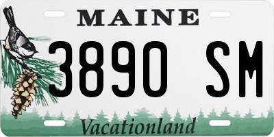 ME license plate 3890SM