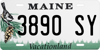 ME license plate 3890SY