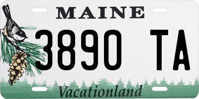 ME license plate 3890TA