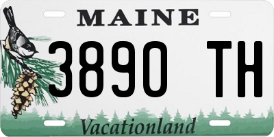 ME license plate 3890TH