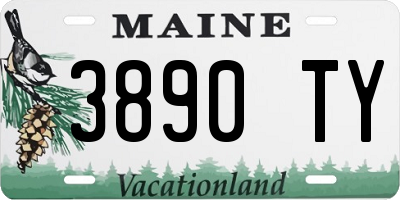 ME license plate 3890TY