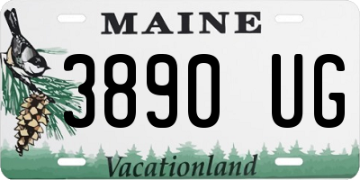 ME license plate 3890UG