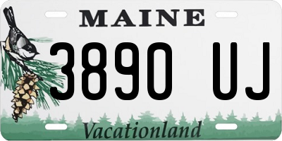 ME license plate 3890UJ