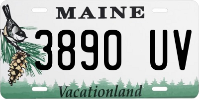ME license plate 3890UV