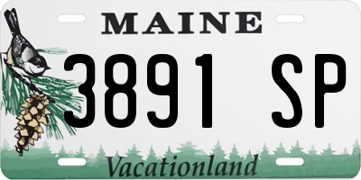 ME license plate 3891SP