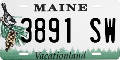 ME license plate 3891SW